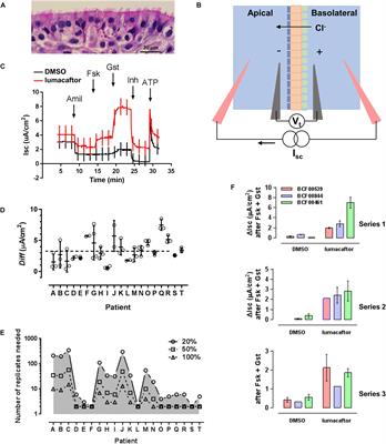 Variable Responses to CFTR Correctors in vitro: Estimating the Design Effect in Precision Medicine